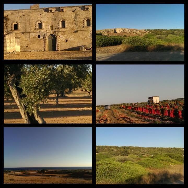 Salento - Casa Vacanza Di Diana Carcagni Nardò Buitenkant foto
